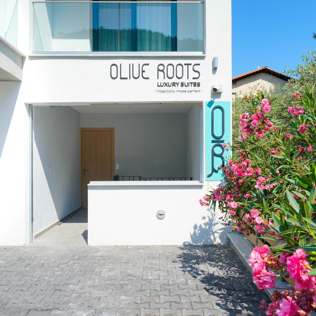 Olive Roots – Luxury Suites